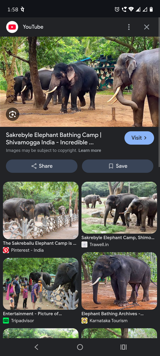 Holehonnur & Mahishi